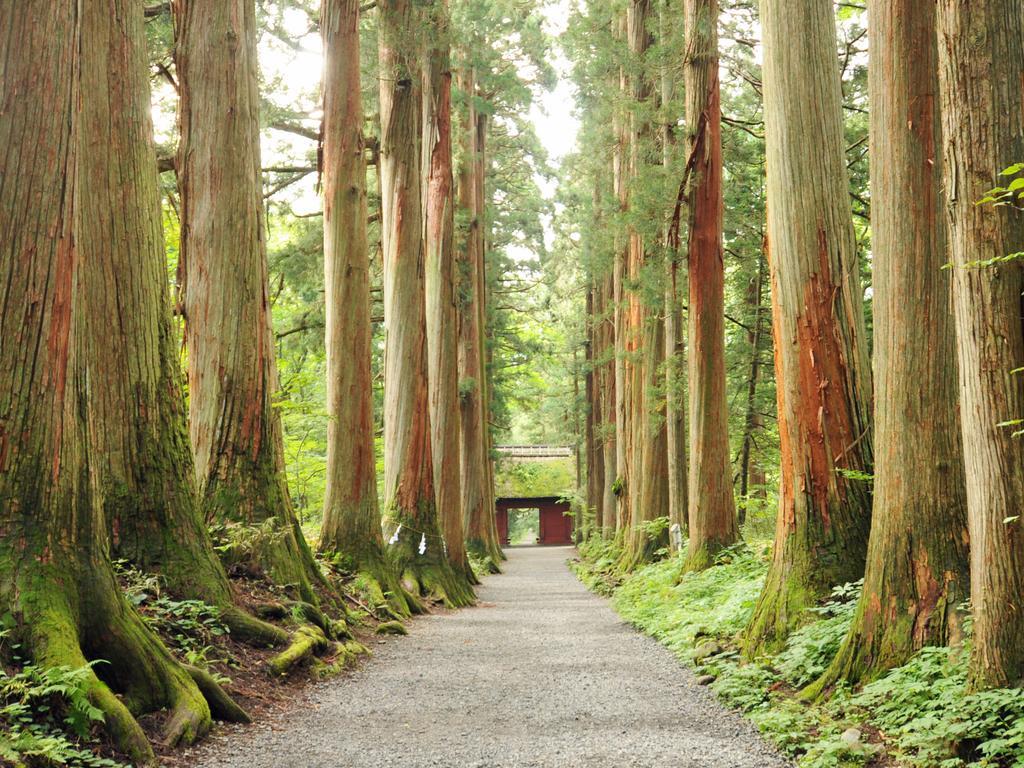 Hotel Tsubakino Yamanouchi  Exterior foto